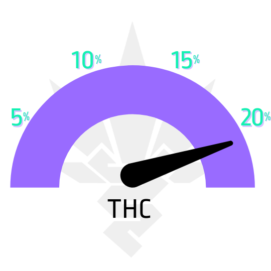 Amnesia-Fast-Seedsman-obsah-THC