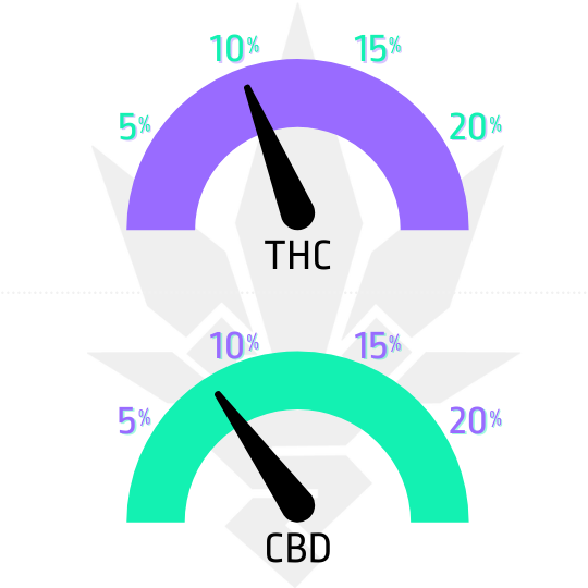 Auto-White-Haze-CBD-ukazatel-CBD-THC