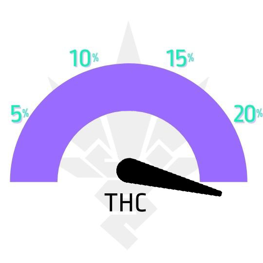 Notorious_THC_Humboldt_Seed_Company