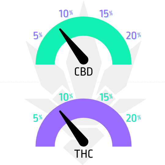 Purple_Kush_Auto_Seedsman_obsah_CBD_THC