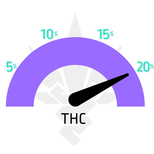 TNT-Trichome-Super-Sativa-Seed-Club-obsah-THC